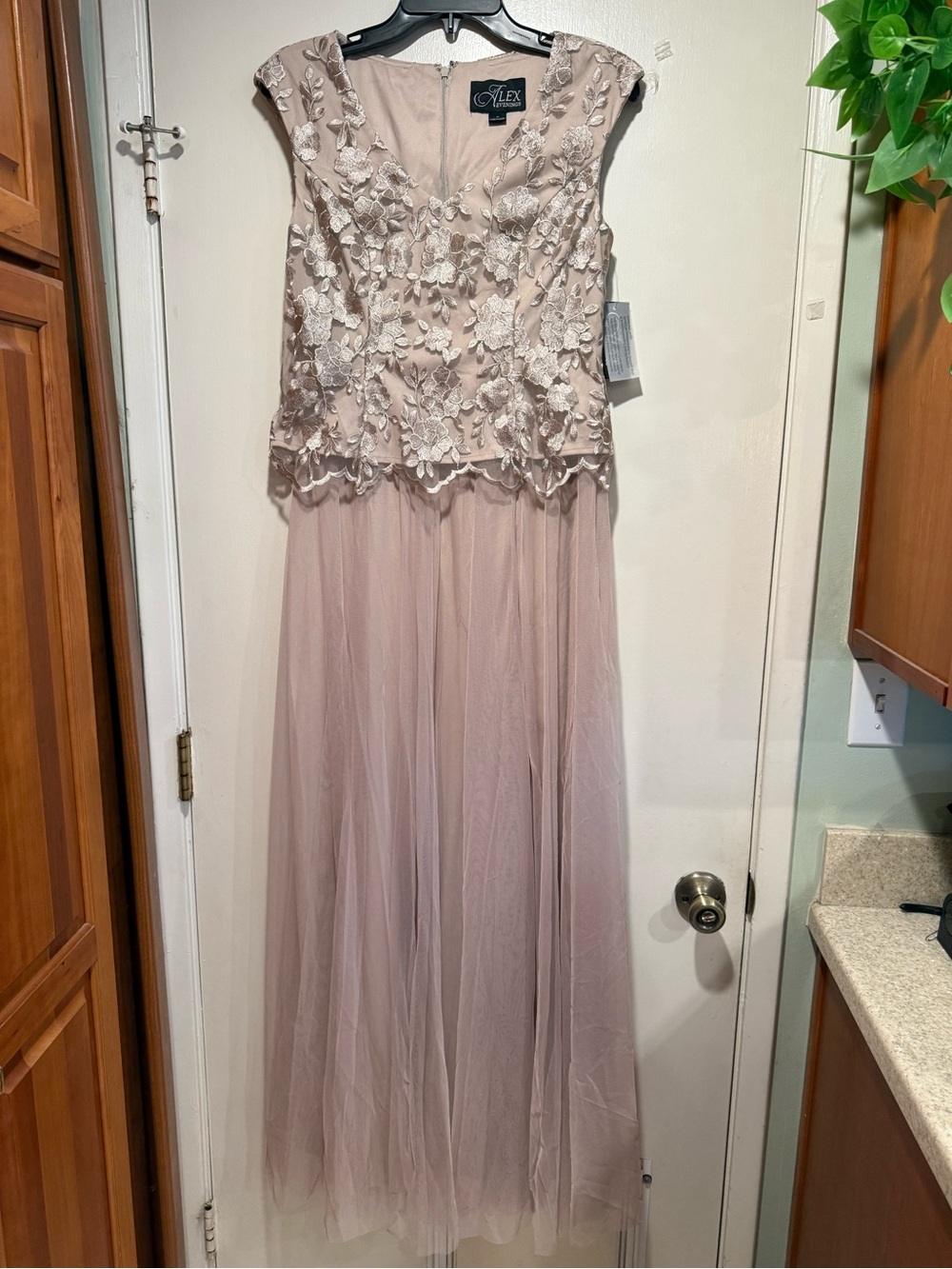 Alex Evenings Long V-Neck Embroidered Dress W/Cap Sleeves, Full Skirt, Size 4
